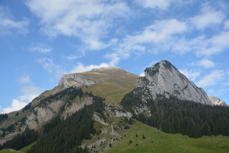 Wildnis der Schweiz